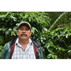 Riehen Spezial für Espresso. Ein Single Origin aus Nicaragua